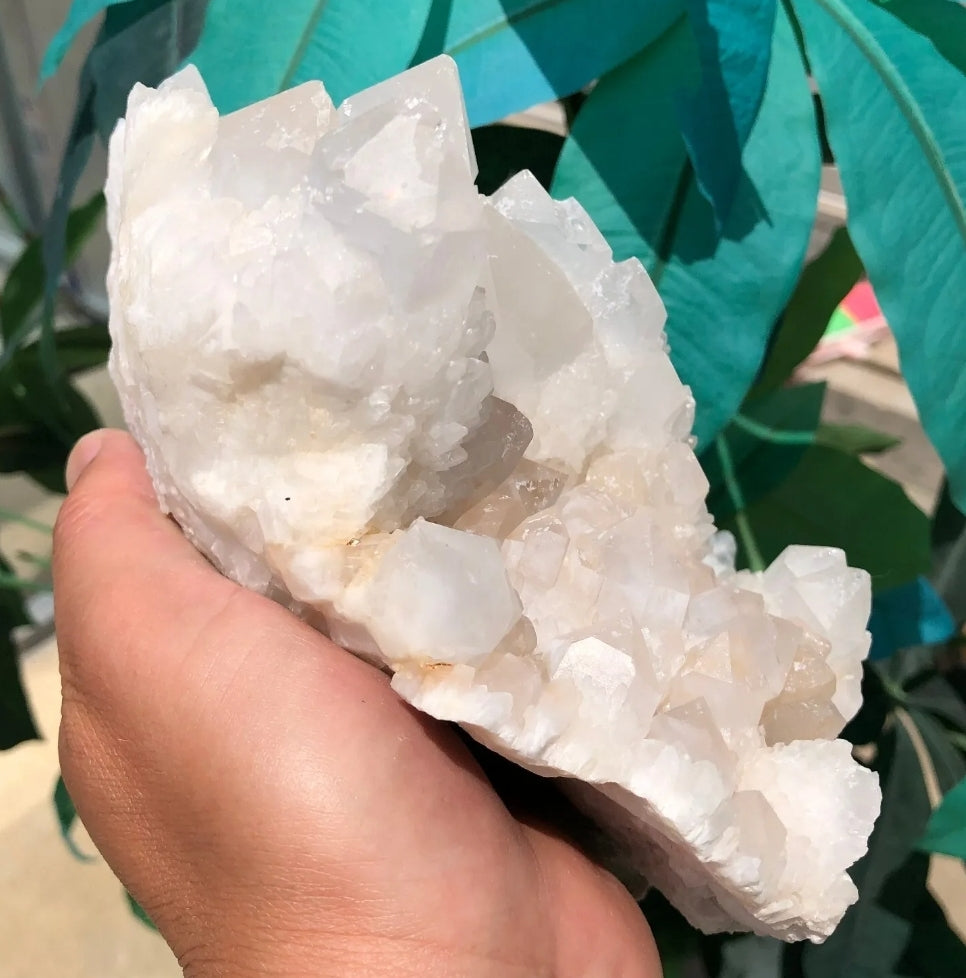 Large Quartz Cluster Specimen Crystal