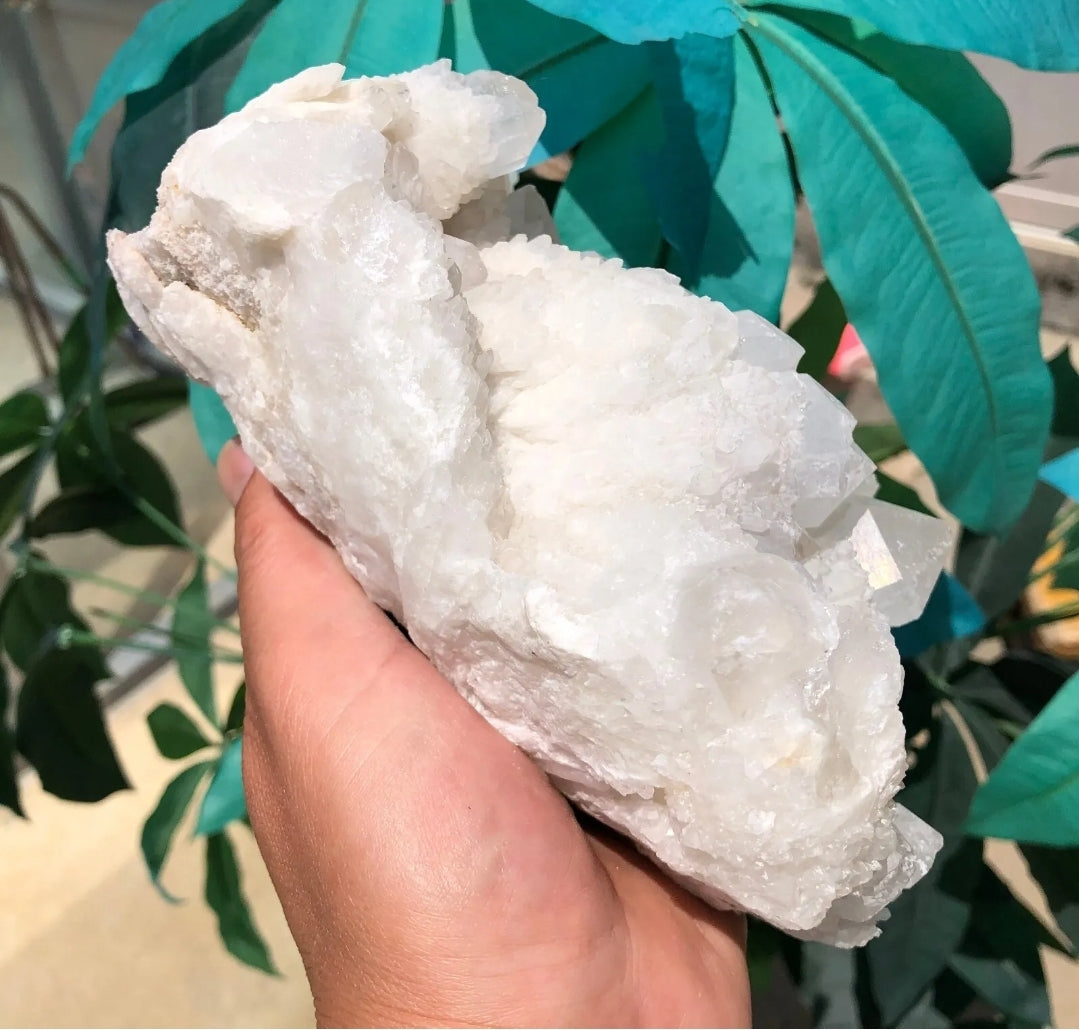 Large Quartz Cluster Specimen Crystal