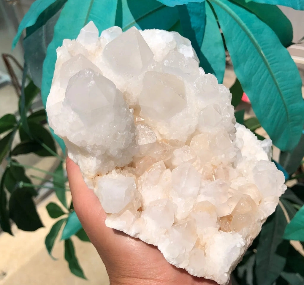 Large Quartz Cluster Specimen Crystal