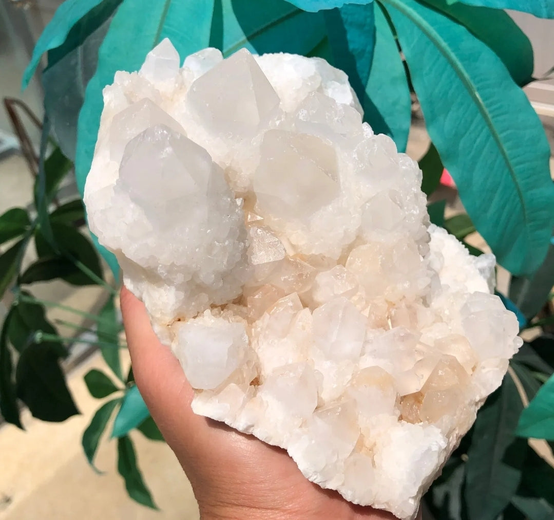 Large Quartz Cluster Specimen Crystal